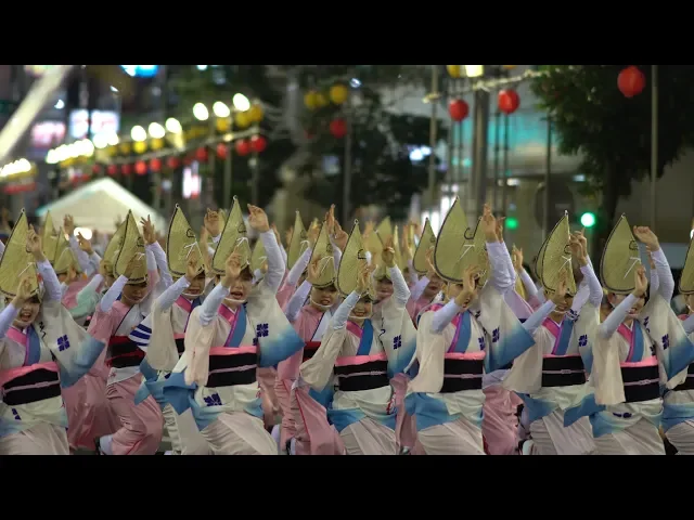 『フィナーレ』のんき連/天水連/さゝ連/若獅子連/葉月連【35th minami koshigaya awa-odori dance festival★第35回南越谷阿波踊り2019】8月25日(土